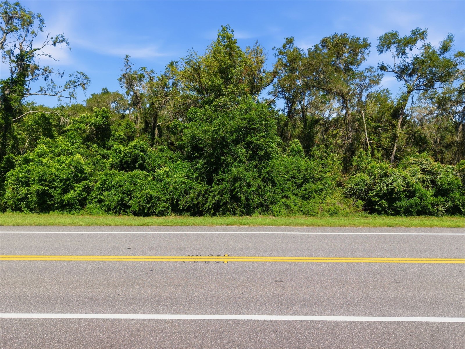 Mckethan Road Dade City FL 33523 - WITHLACOOCHEE RIVER TB8525668 image6
