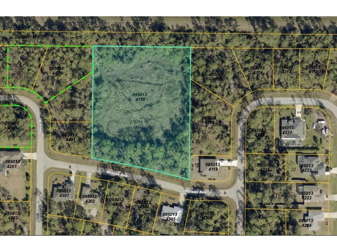 Mclues Avenue North Port FL 34291 C7515016 image2