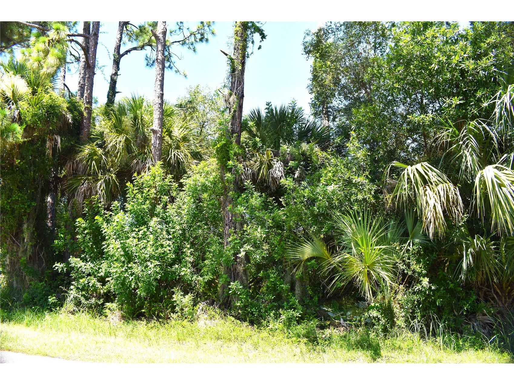 Mctague Street North Port FL 34291 C7528690 image1
