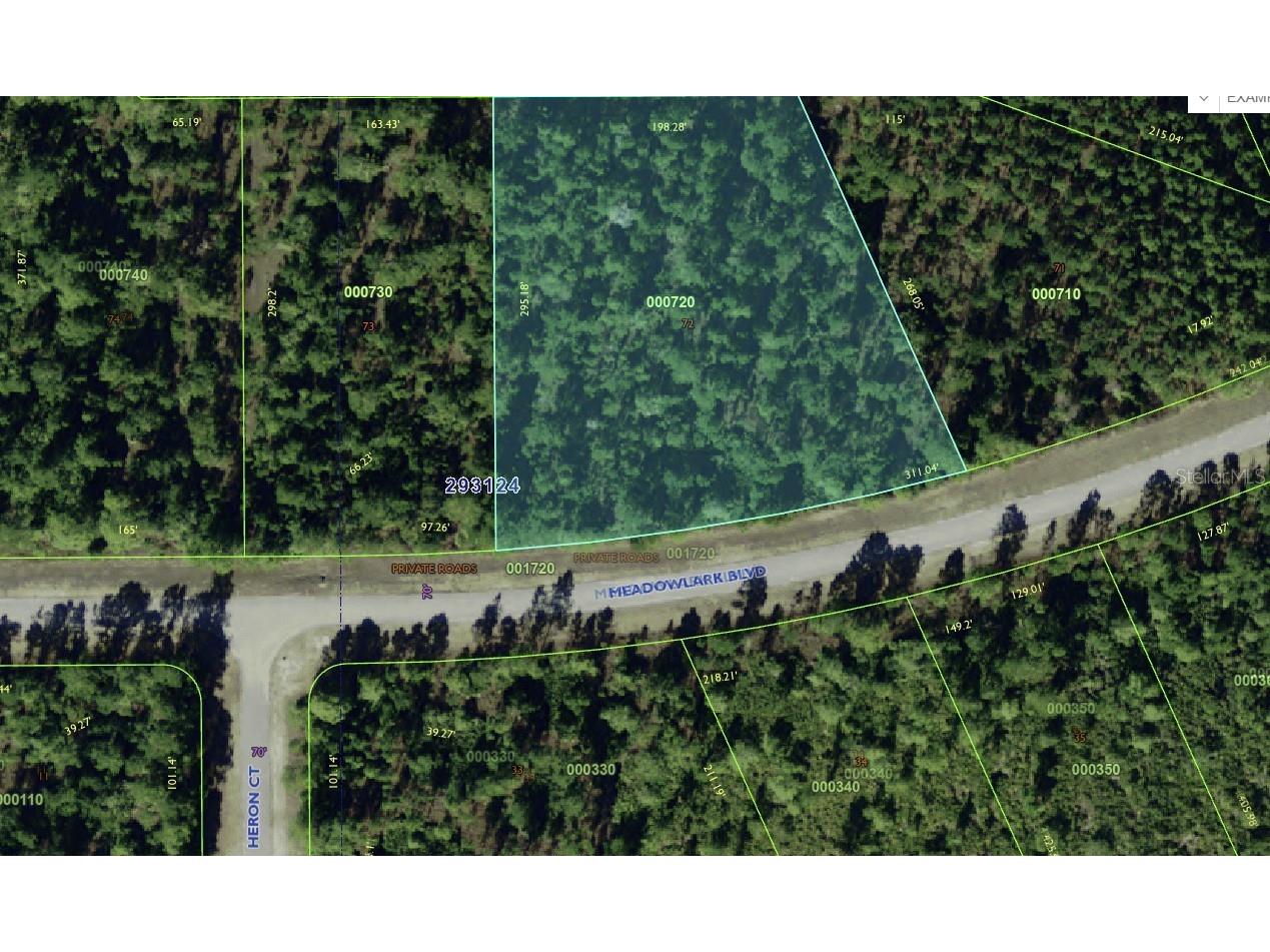 Meadow Lark Boulevard Indian Lake Estates FL 33855 - LAKE WALK-IN-WATER TB8336519 image1