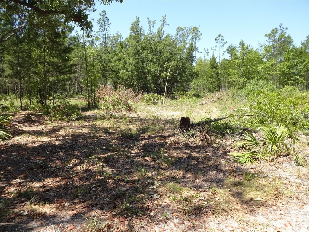 Meadowlark Palatka FL 32178 V4930046 image1