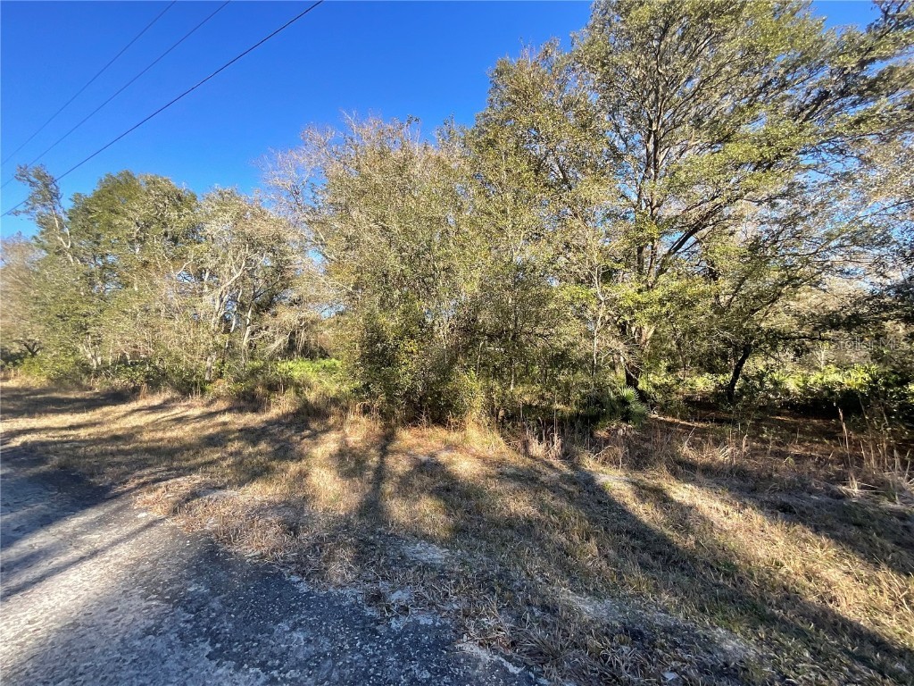 Mecca Rock Road Webster FL 33597 G5064395 image1