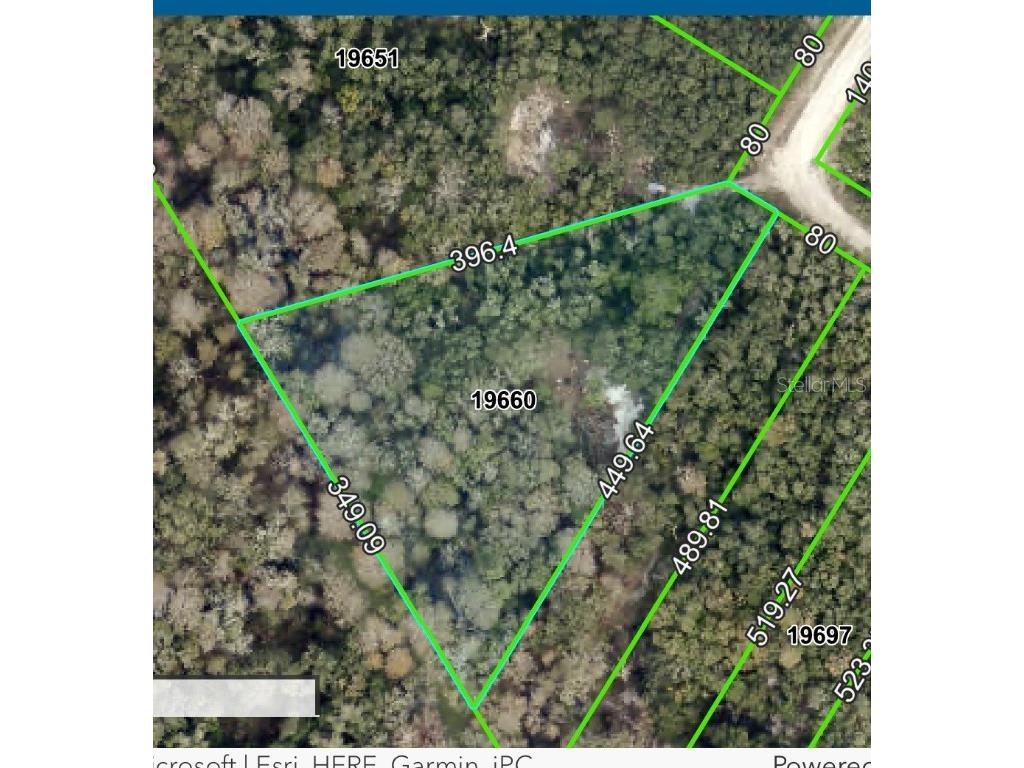 Medicine Stone Drive #LOT 9 Webster FL 33597 A4645438 image1