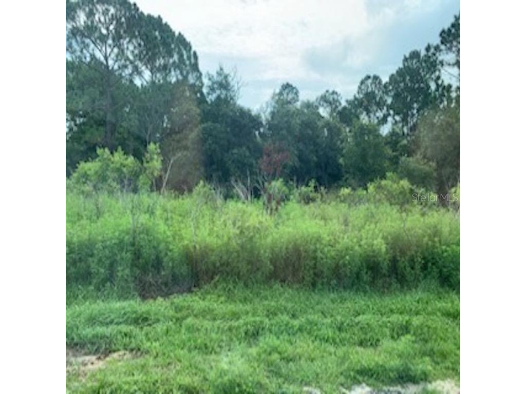 Mediterranean Court Kissimmee FL 34758 O5847076 image1