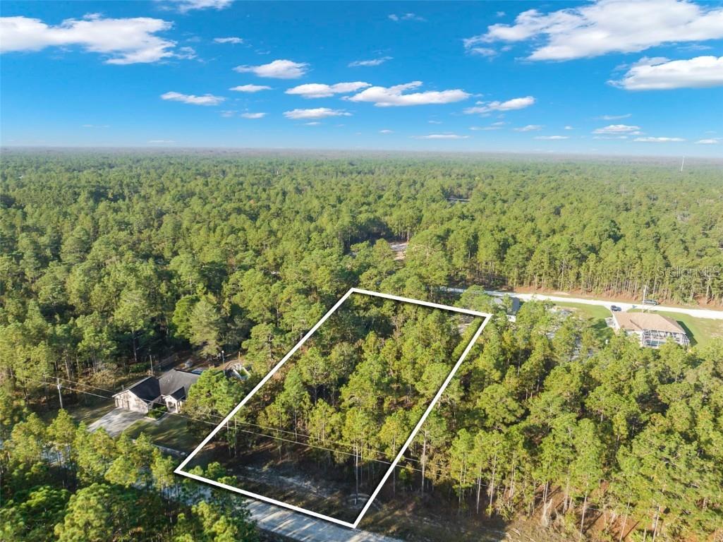 Mellon Road Weeki Wachee FL 34614 W7850294 image1