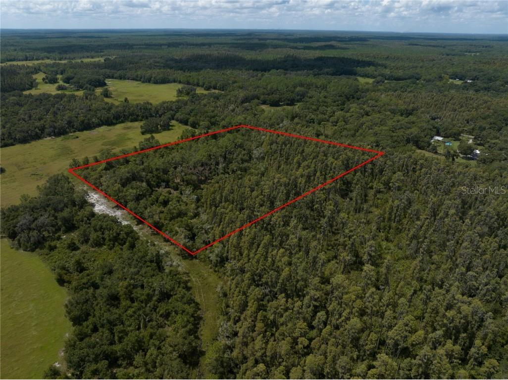 Melms Road Zephyrhills FL 33540 O6239541 image1