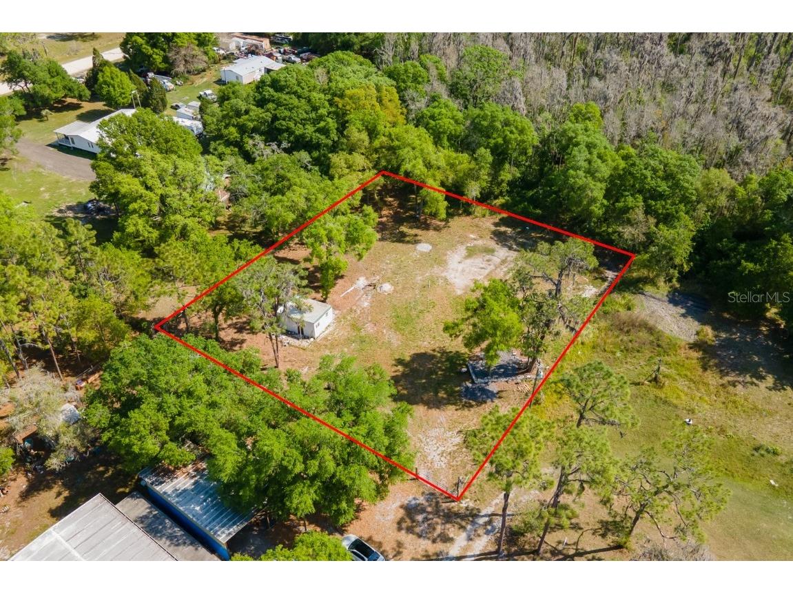 Melms Road Zephyrhills FL 33540 T3552312 image1