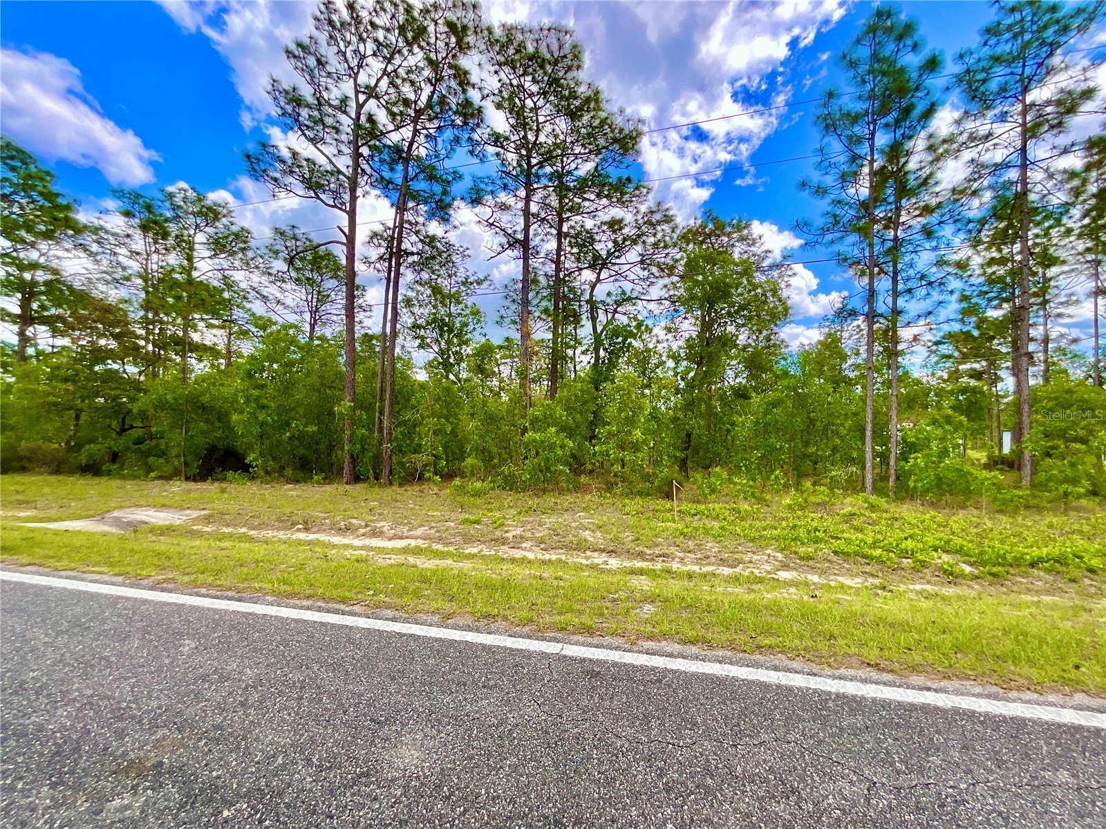 Melrose Landing Blvd Hawthorne FL 32640 GC539944 image8