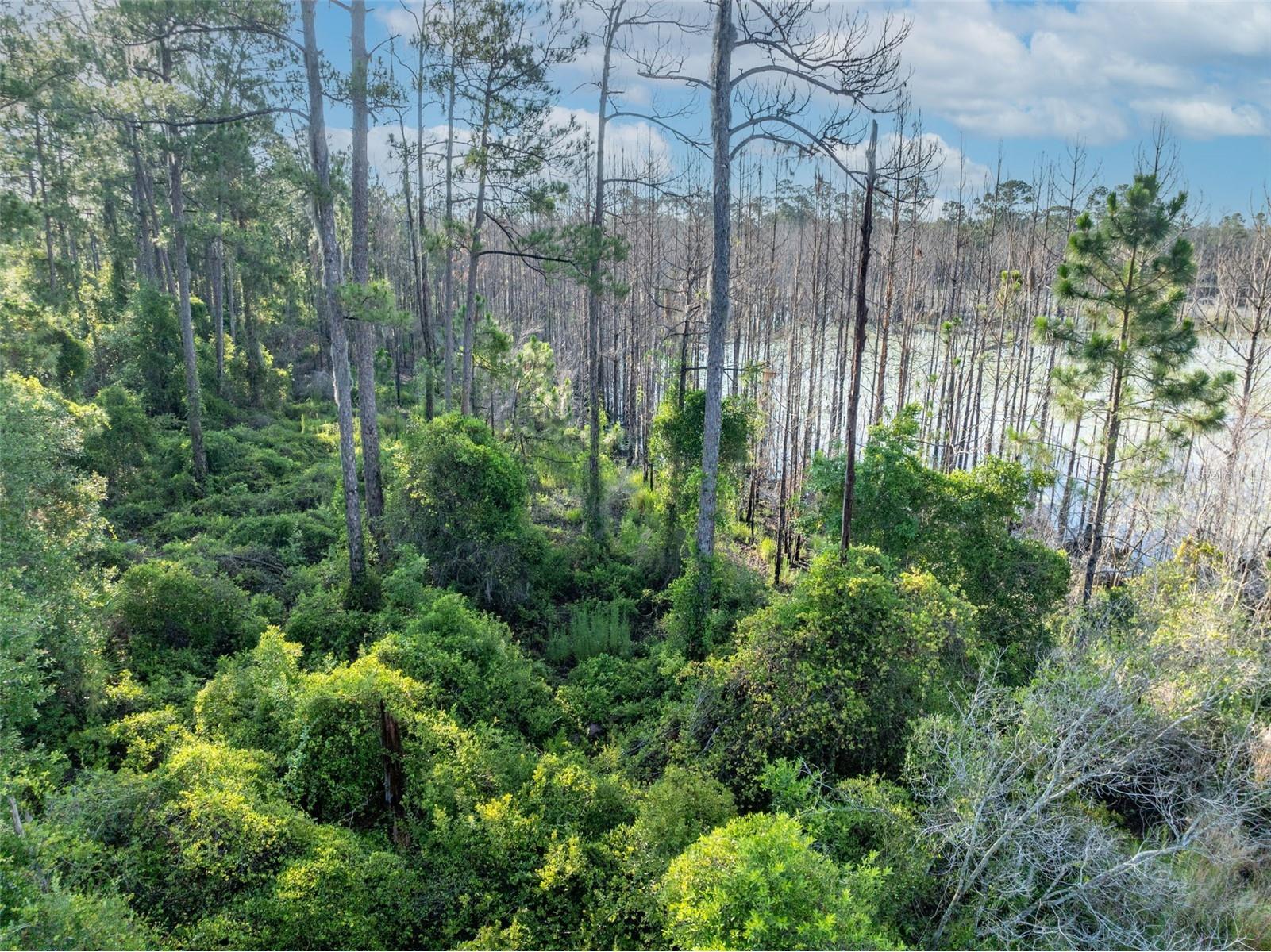 Melshire Avenue Deltona FL 32738 O6380324 image3
