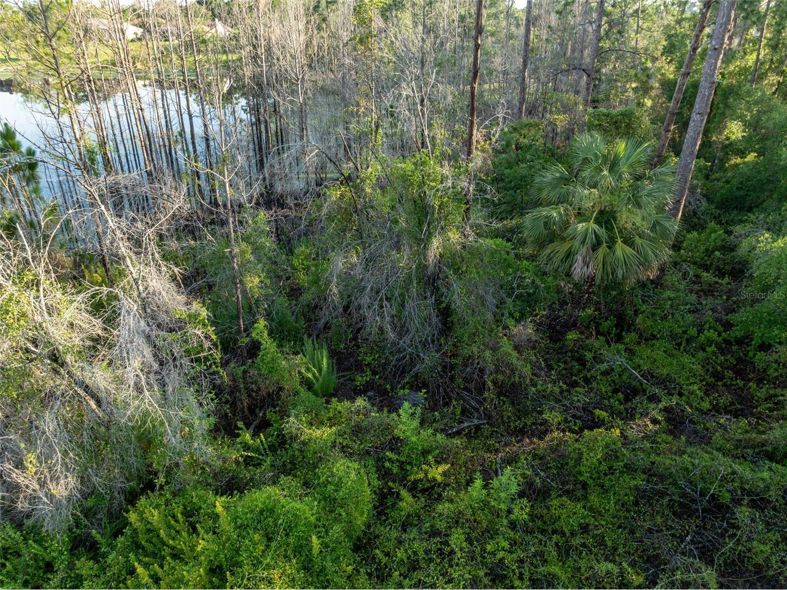 Melshire Avenue Deltona FL 32738 O6380324 image4