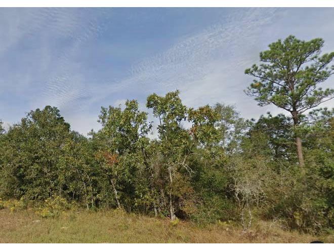 Melshire Drive Chipley FL 32428 O6321269 image1