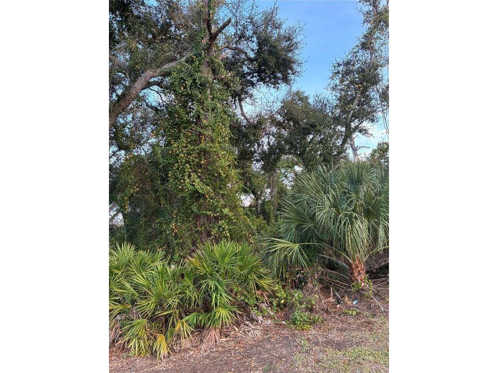 Mendavia Terrace North Port FL 34286 N6141672 image1