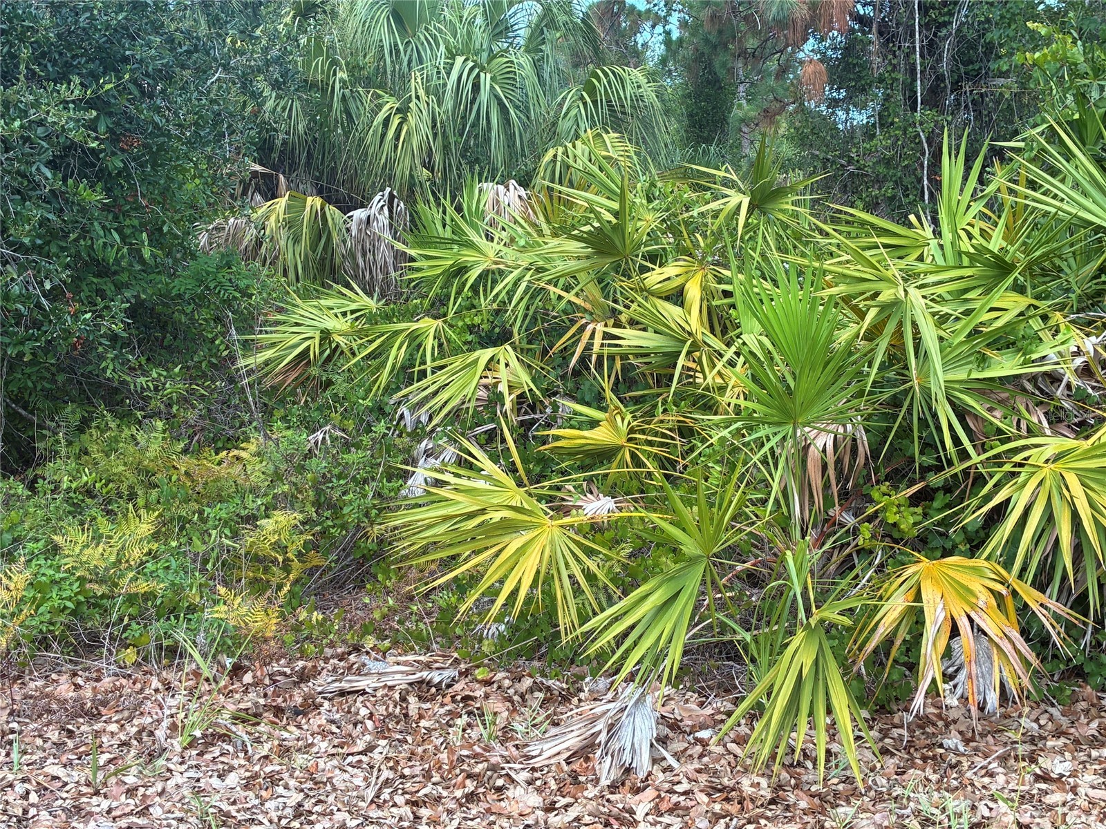 Mendavia Terrace North Port FL 34286 N6144965 image1