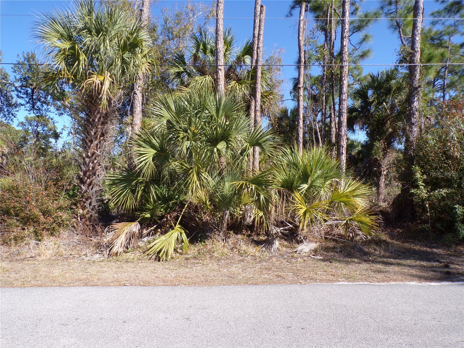 Merced Street North Port FL 34288 C7521973 image1