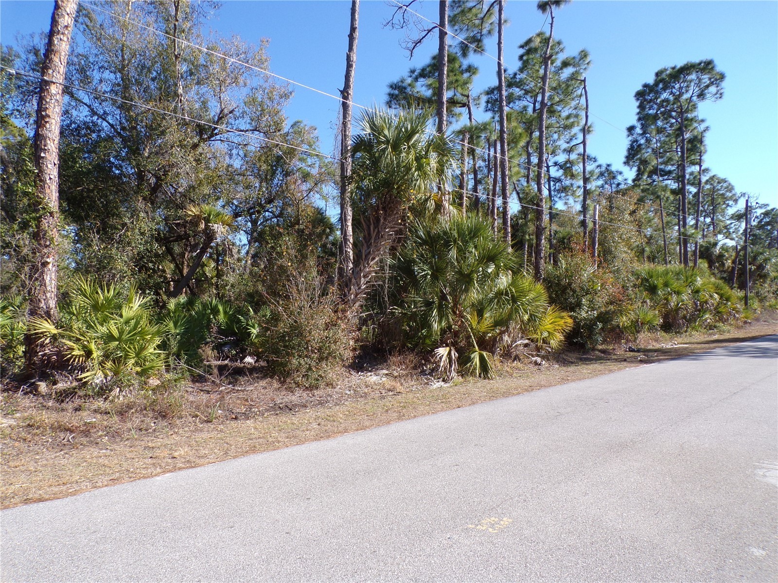 Merced Street North Port FL 34288 C7521973 image3