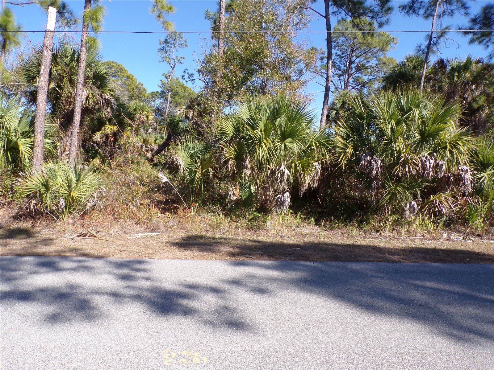 Merced Street North Port FL 34288 C7521973 image5