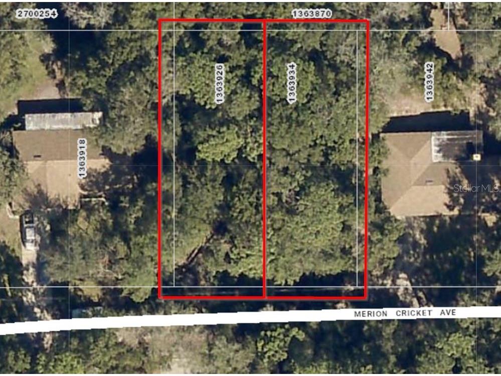 Merion Cricket Avenue Mount Plymouth FL 32776 O6085579 image1