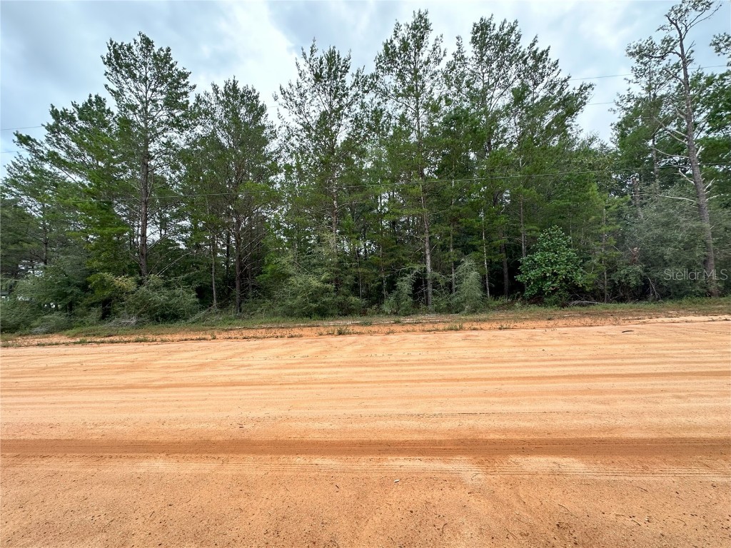 Meteyard Lane Defuniak Springs FL 32433 OM706715 image1