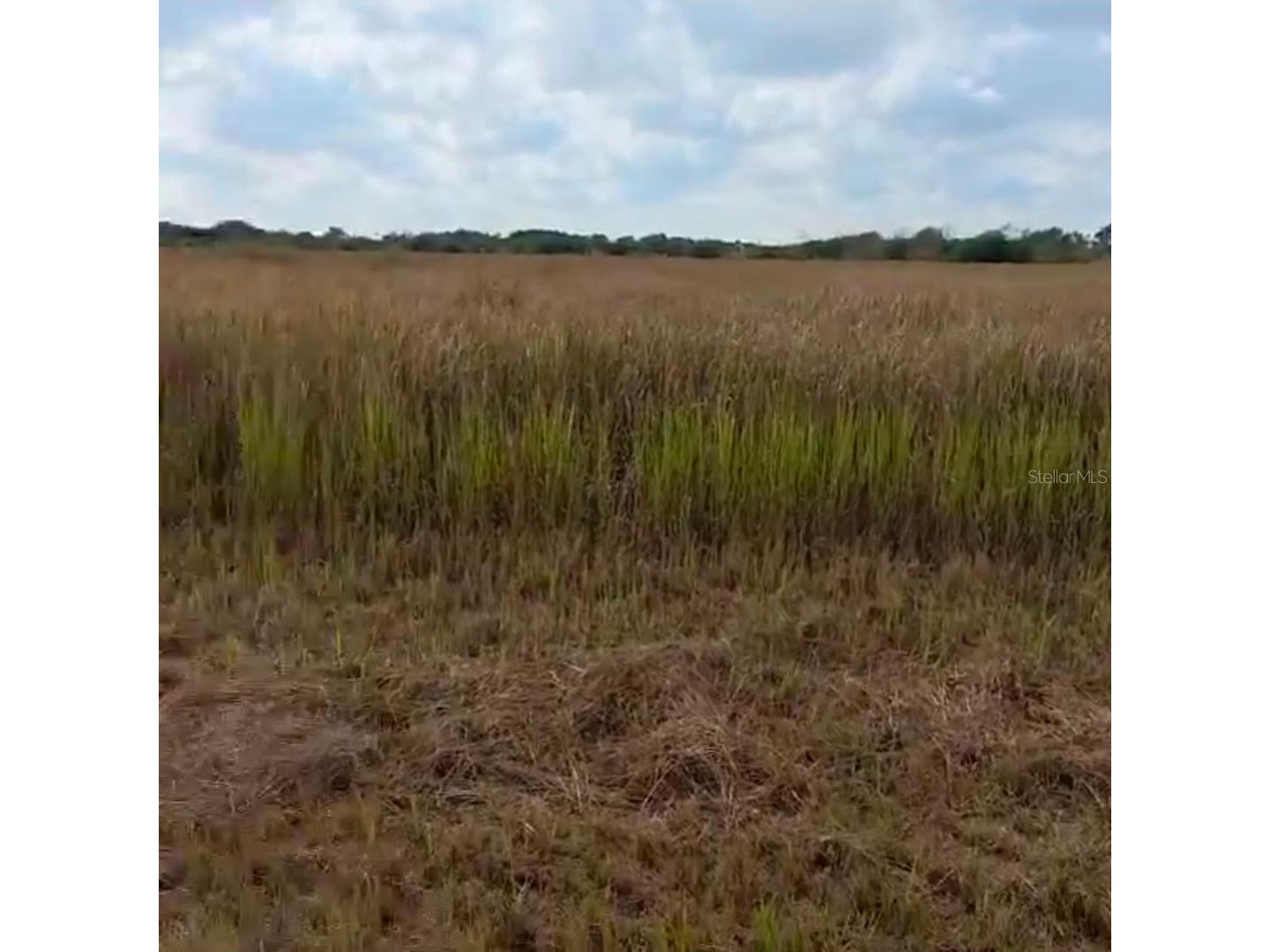 Metheny Rd Parcel B Wauchula FL 33873 TB8505558 image1