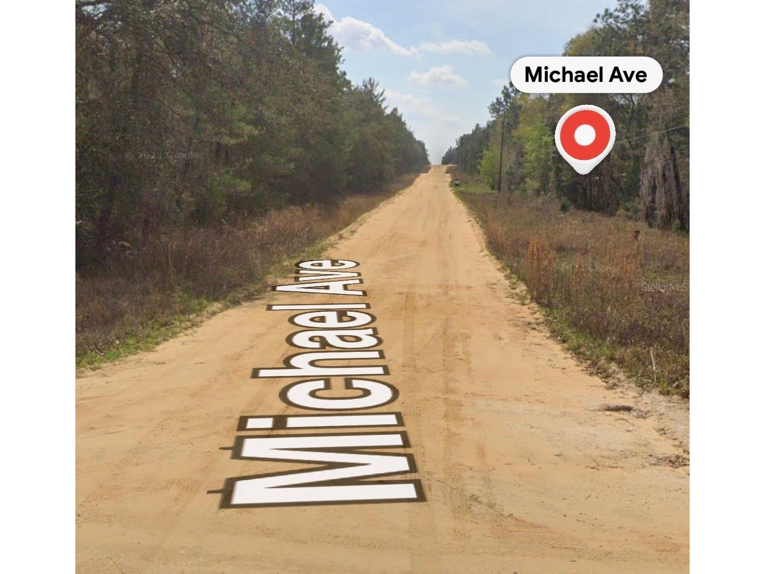 Michael Ave Interlachen FL 32148 A4695617 image2