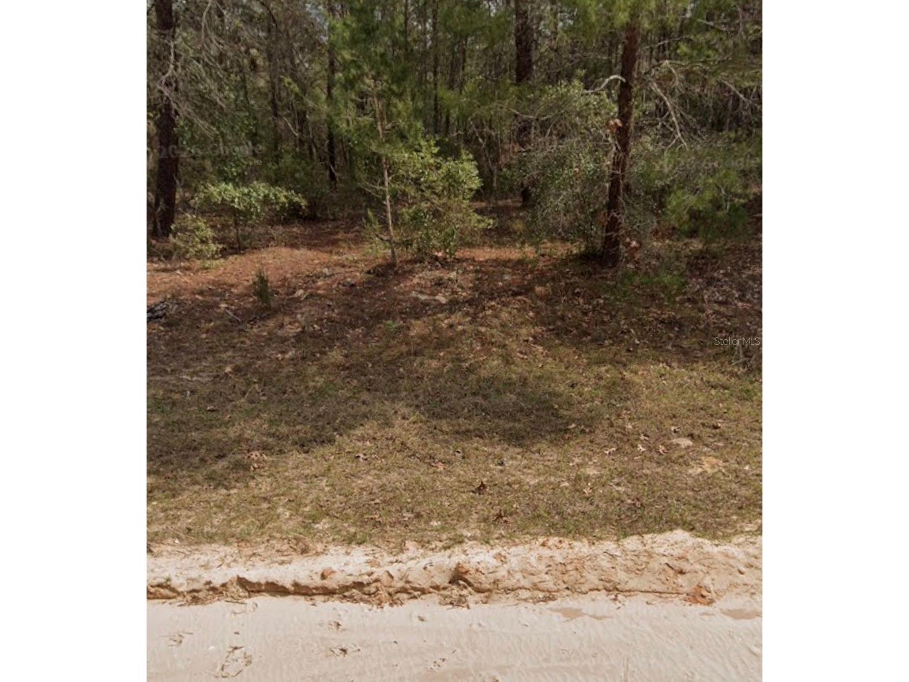 Michael Ave Interlachen FL 32148 A4695617 image3