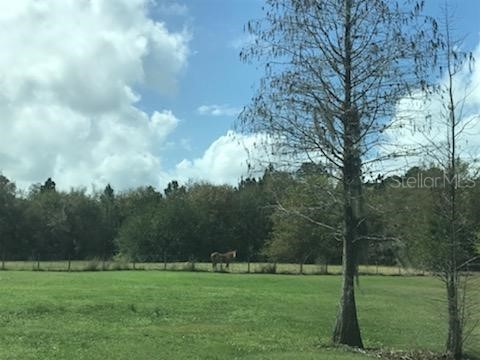 Michigan Avenue Saint Cloud FL 34769 S5067788 image1