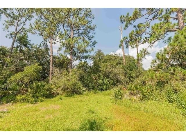 Micklers Road Saint Augustine FL 32080 FC310819 image10