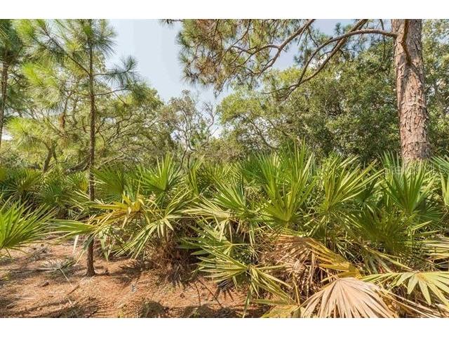 Micklers Road Saint Augustine FL 32080 FC310819 image11