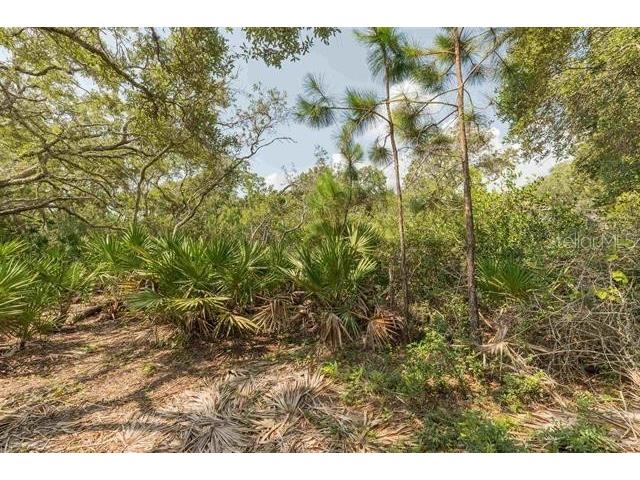 Micklers Road Saint Augustine FL 32080 FC310819 image12