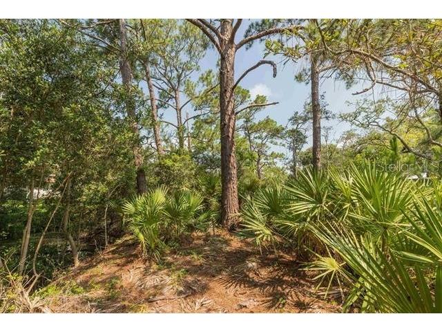 Micklers Road Saint Augustine FL 32080 FC310819 image13