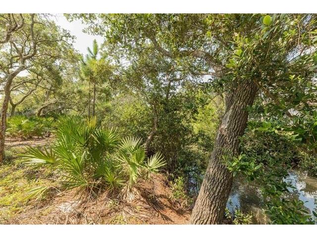 Micklers Road Saint Augustine FL 32080 FC310819 image14