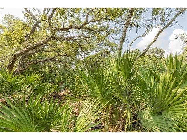 Micklers Road Saint Augustine FL 32080 FC310819 image15