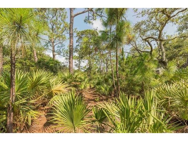 Micklers Road Saint Augustine FL 32080 FC310819 image16