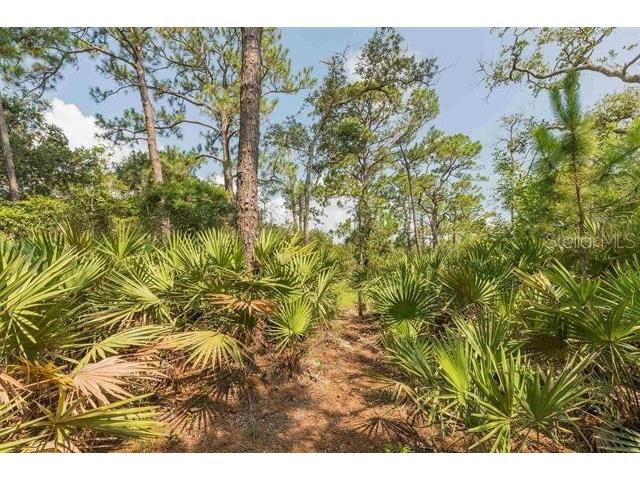 Micklers Road Saint Augustine FL 32080 FC310819 image17