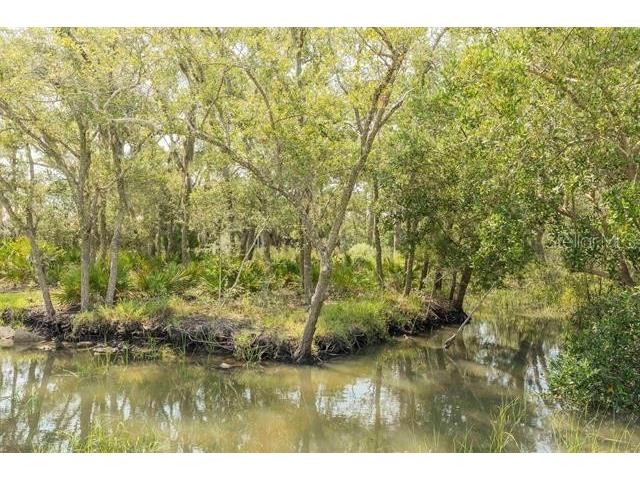 Micklers Road Saint Augustine FL 32080 FC310819 image6