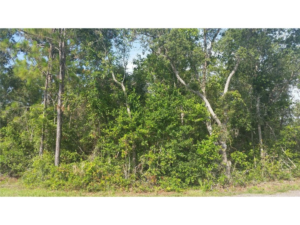 Midway Road Haines City FL 33844 P4901143 image1