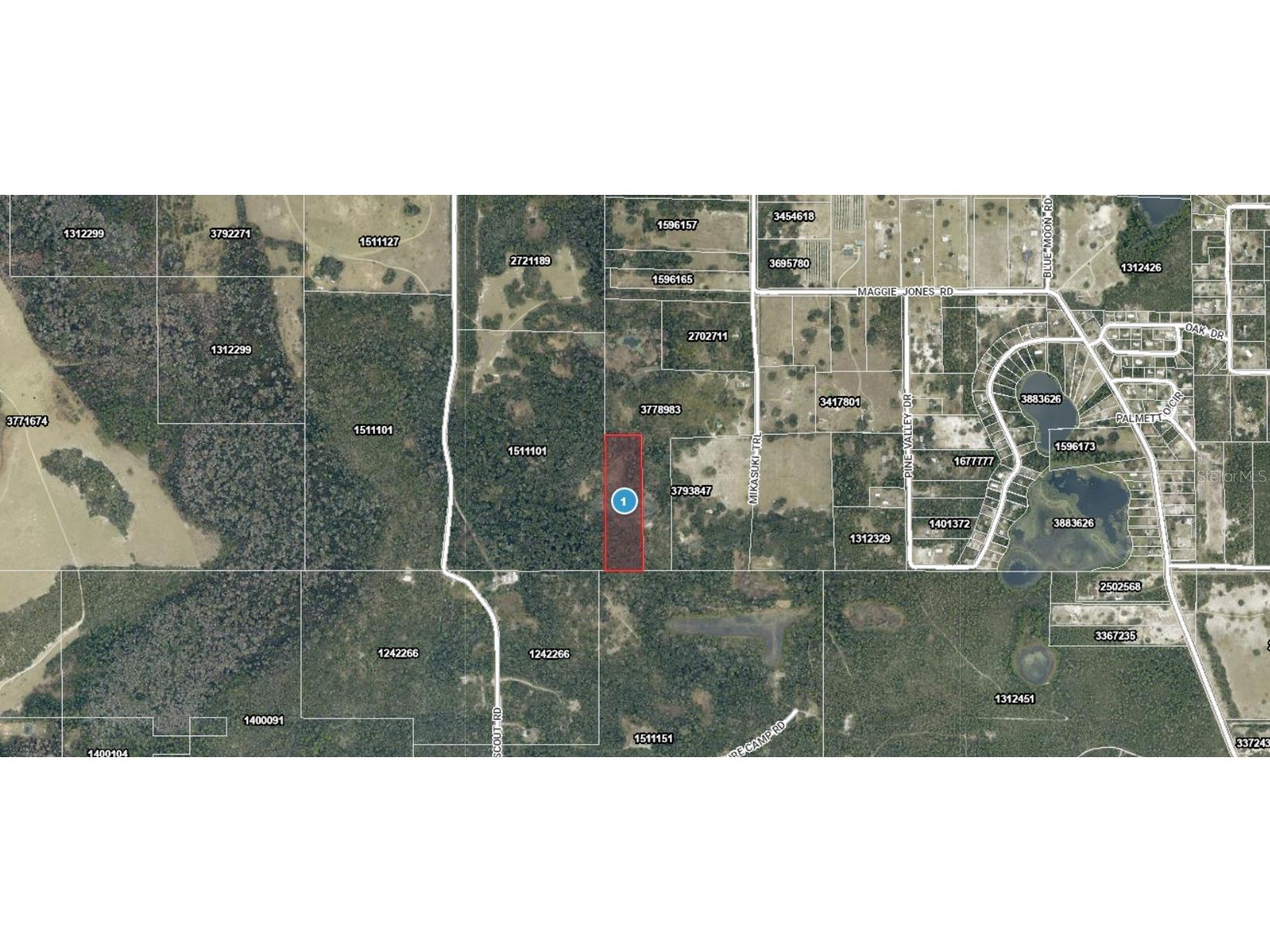 Mikasuki Trail Paisley FL 32767 A4698757 image3