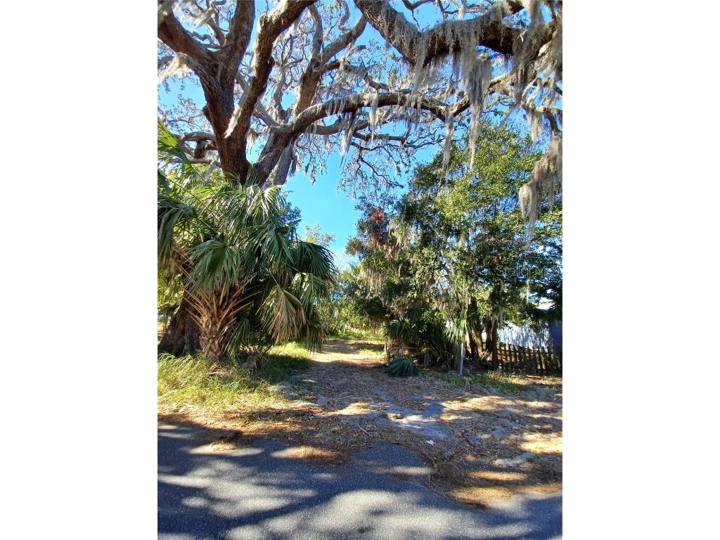 Mike Street Leesburg FL 34748 G5093196 image7