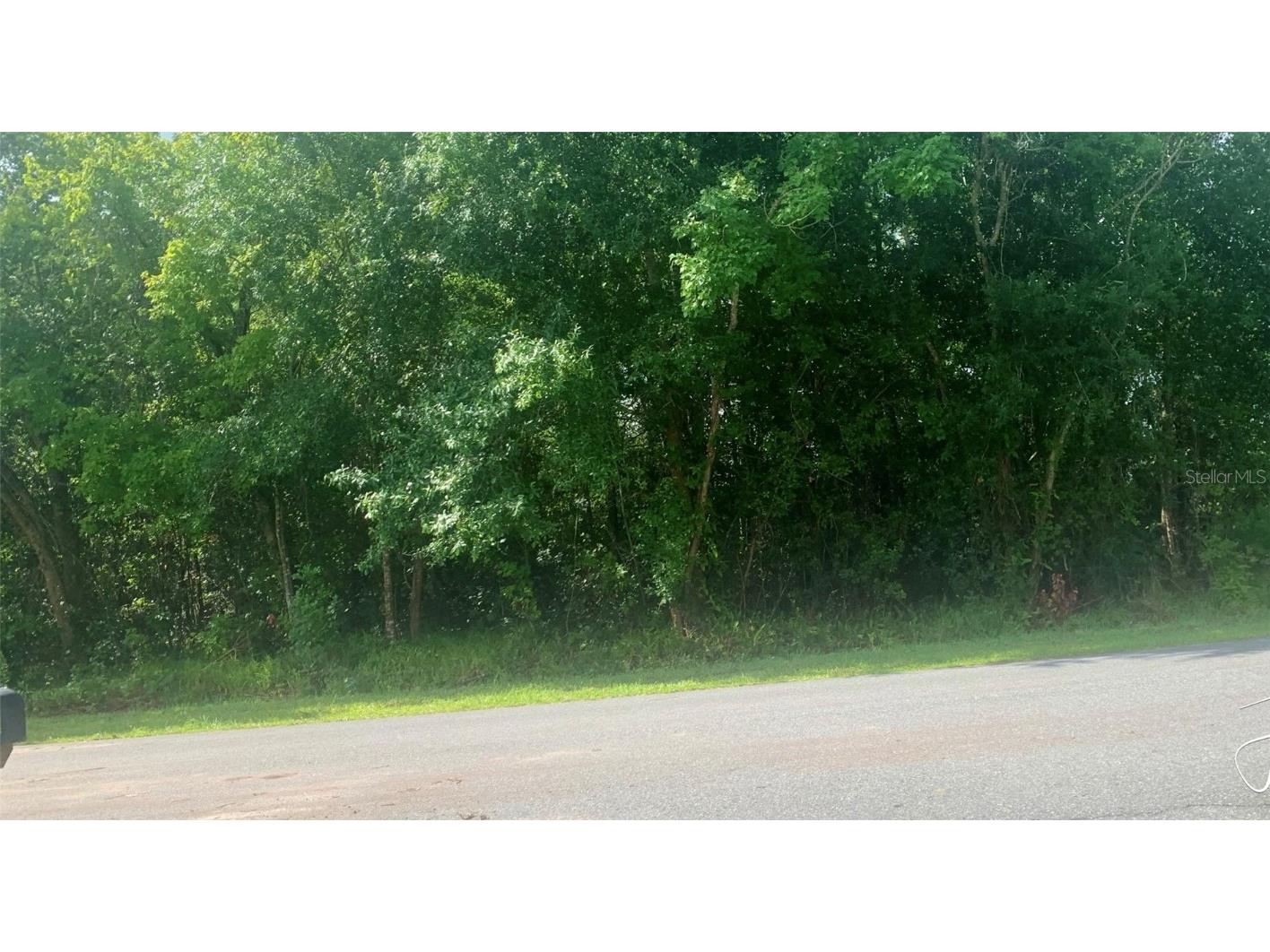 Milan Drive Kissimmee FL 34758 S5053563 image1