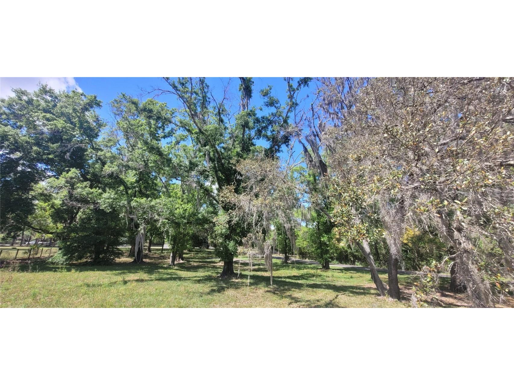 Miles Road Odessa FL 33556 T3433609 image1