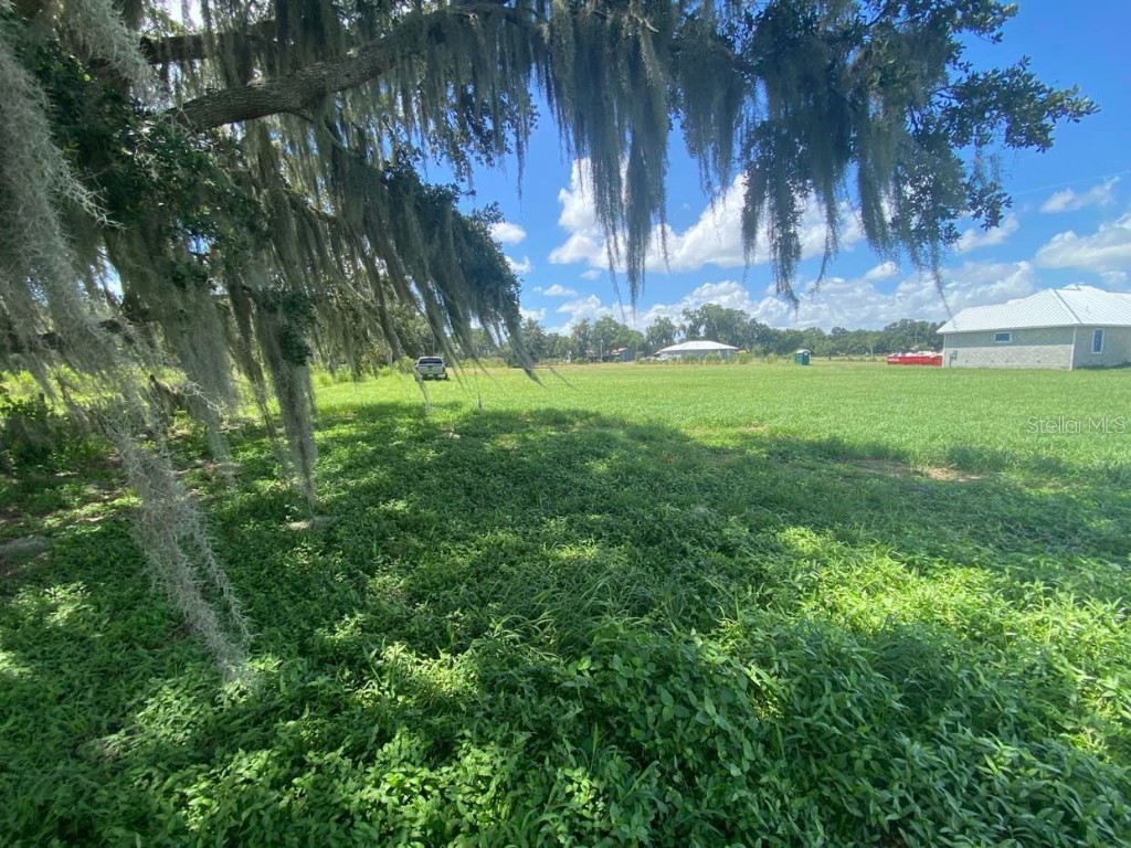 Miley Road Plant City FL 33565 T3434448 image1