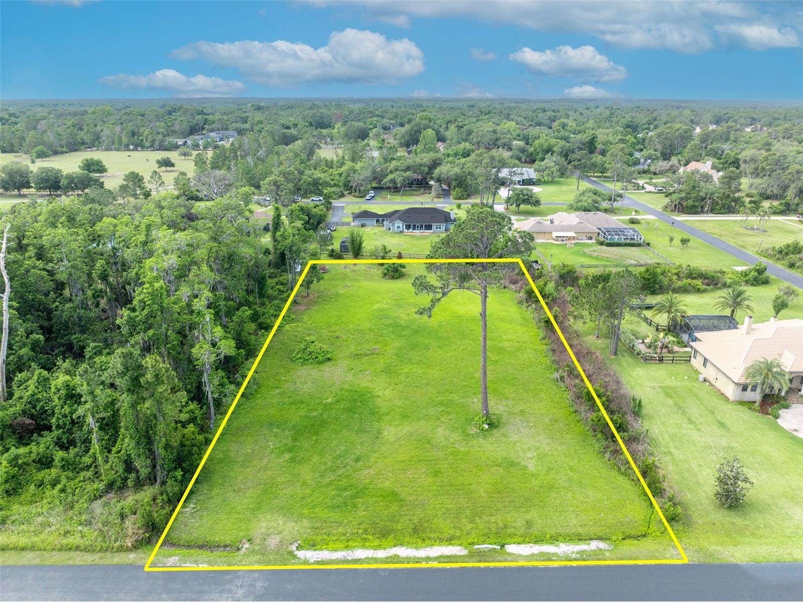 Mill Pond Road Tavares FL 32778 G5111969 image1