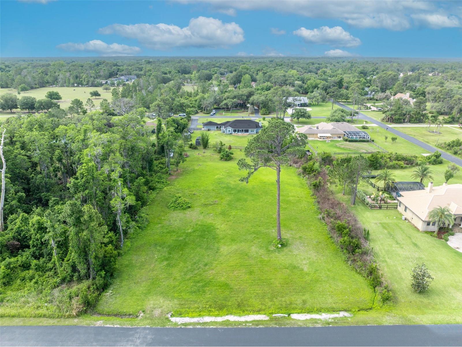 Mill Pond Road Tavares FL 32778 G5111969 image4