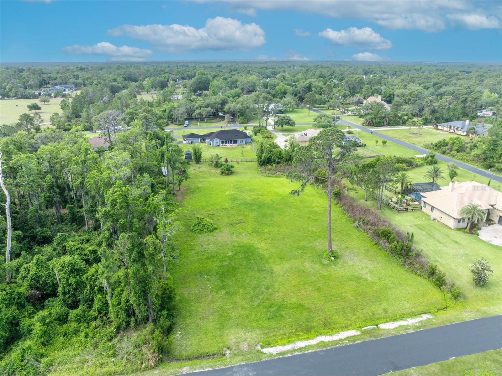 Mill Pond Road Tavares FL 32778 G5111969 image5