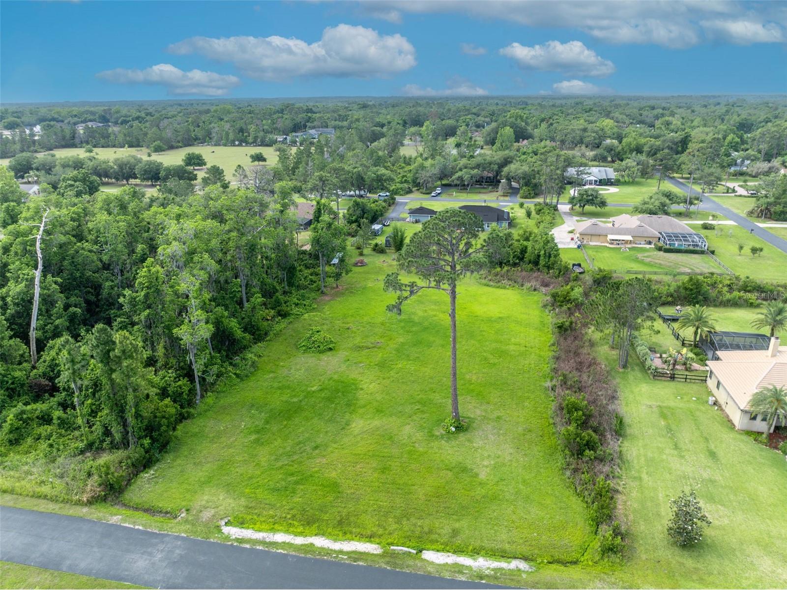 Mill Pond Road Tavares FL 32778 G5111969 image6