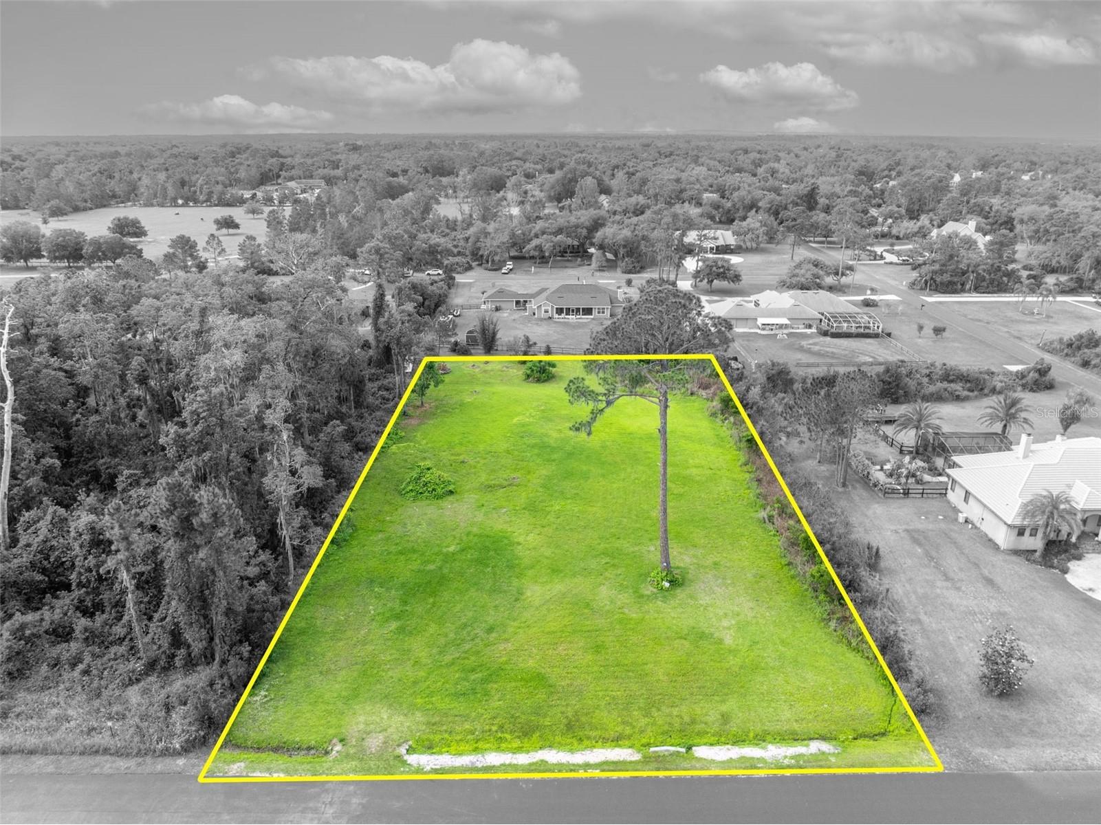 Mill Pond Road Tavares FL 32778 G5111969 image7
