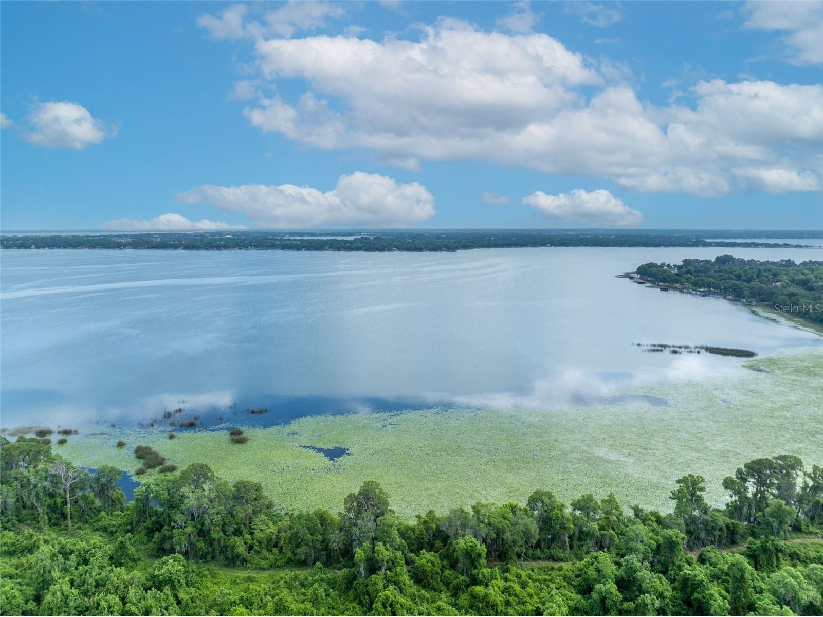 Mill Pond Road Tavares FL 32778 G5111969 image8