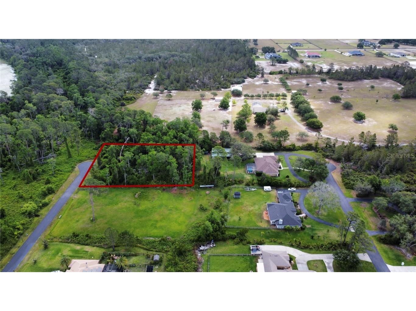 Mill Pond Road Tavares FL 32778 O6269356 image1