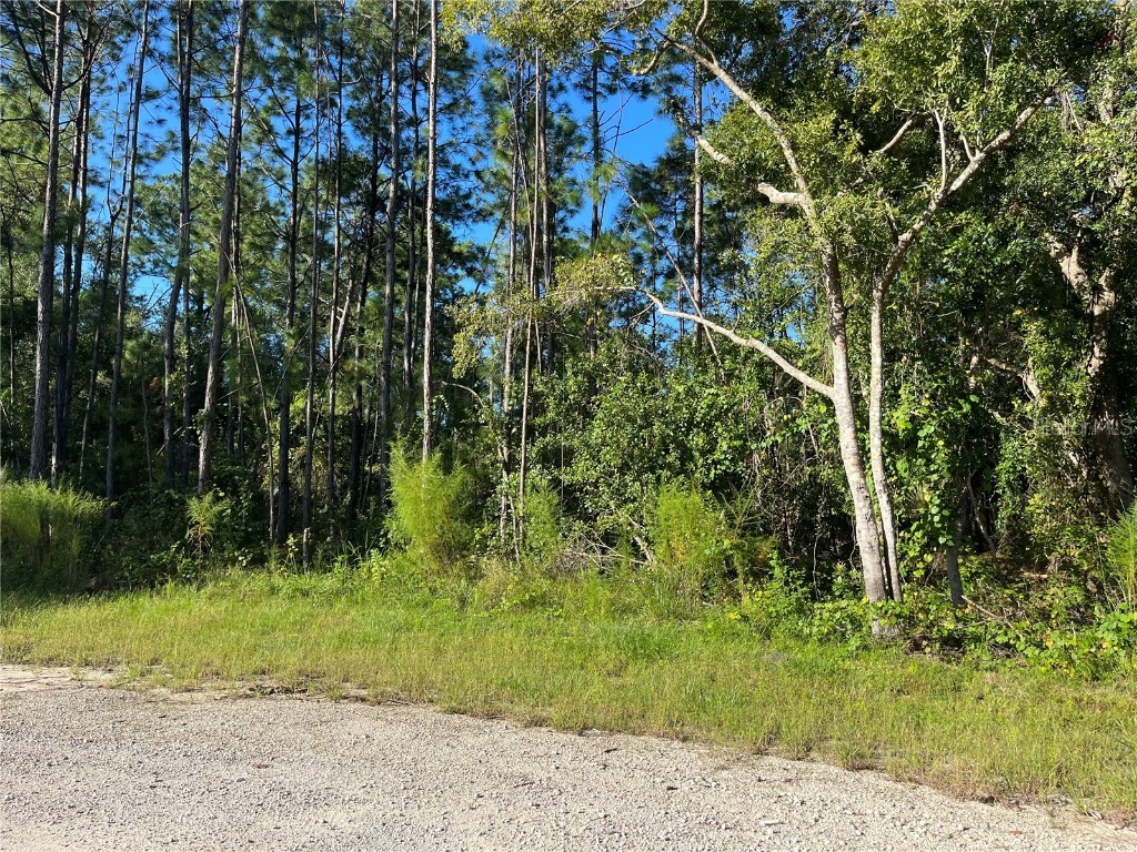 Miller Farms Court Sanford FL 32771 O6146970 image1