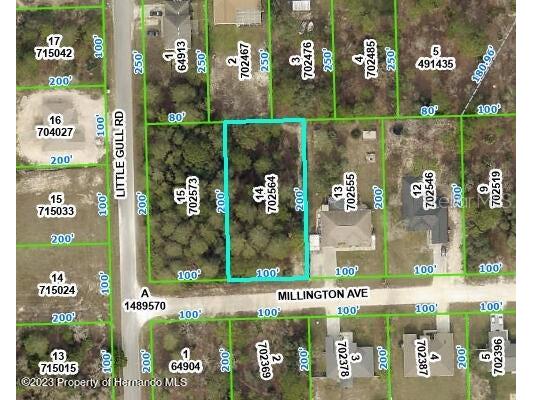 Millington Avenue Weeki Wachee FL 34614 W7863160 image1